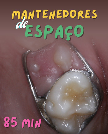 Capa curso mantenedores